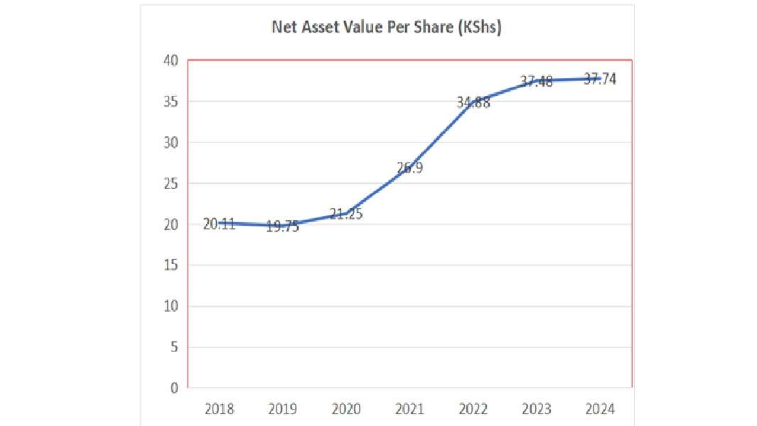 Net-Asset-Value-Per-Share